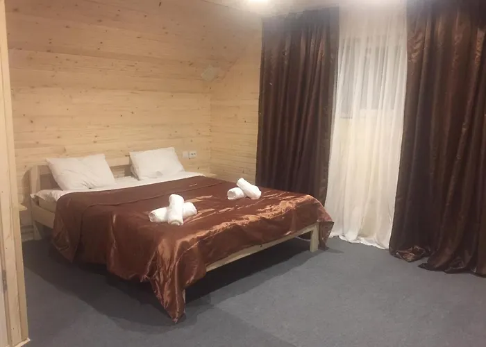 招待所 Zlata 布克维